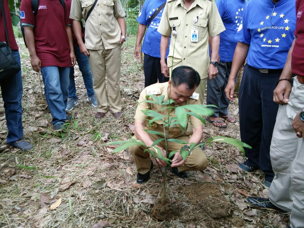  Berharap Harga Rotan Sejahterakan Petani