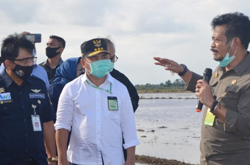  Mentan RI didampingi Gubernur Kalteng, Tinjau Kesiapan Lokasi Penanaman Perdana Food Estate oleh Presiden Ir. Jokowi