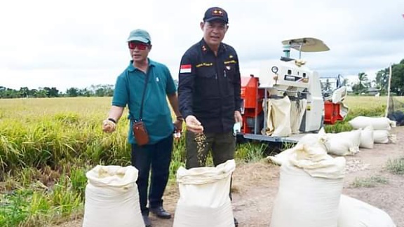  Pemprov Kalteng Menghadiri Panen Raya Padi Hibrida di Desa Gadabung