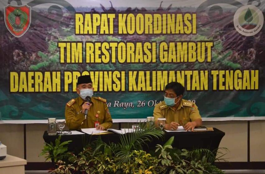  Rakor TRGD Targetkan Implementasi 3R di Dua Juta Hektar Lahan Gambut