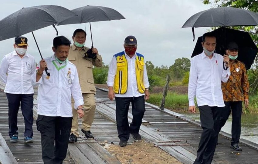  Kunker Presiden RI Jokowi ke Lokasi Food Estate Disambut Guyuran Hujan