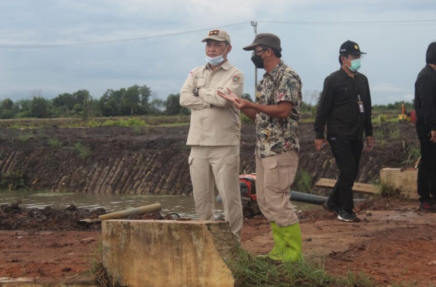  Kunjungan Sekjen Kementan RI ke Kapuas Didampingi Sekda Kalteng