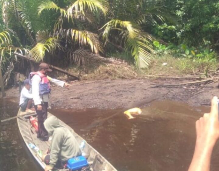  Warga Pulpis Gempar Temukan Sisa Potongan Kaki Manusia