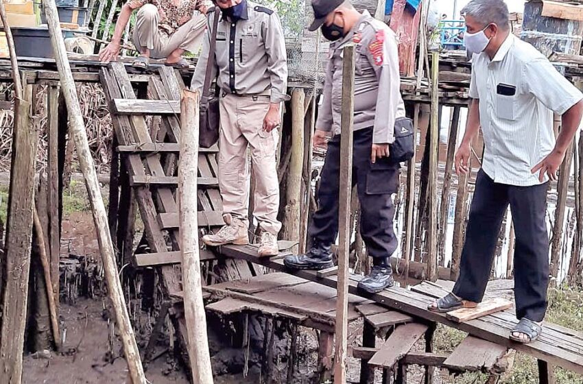  Terkait Serangan Buaya, BKSDA Diminta Ambil Langkah