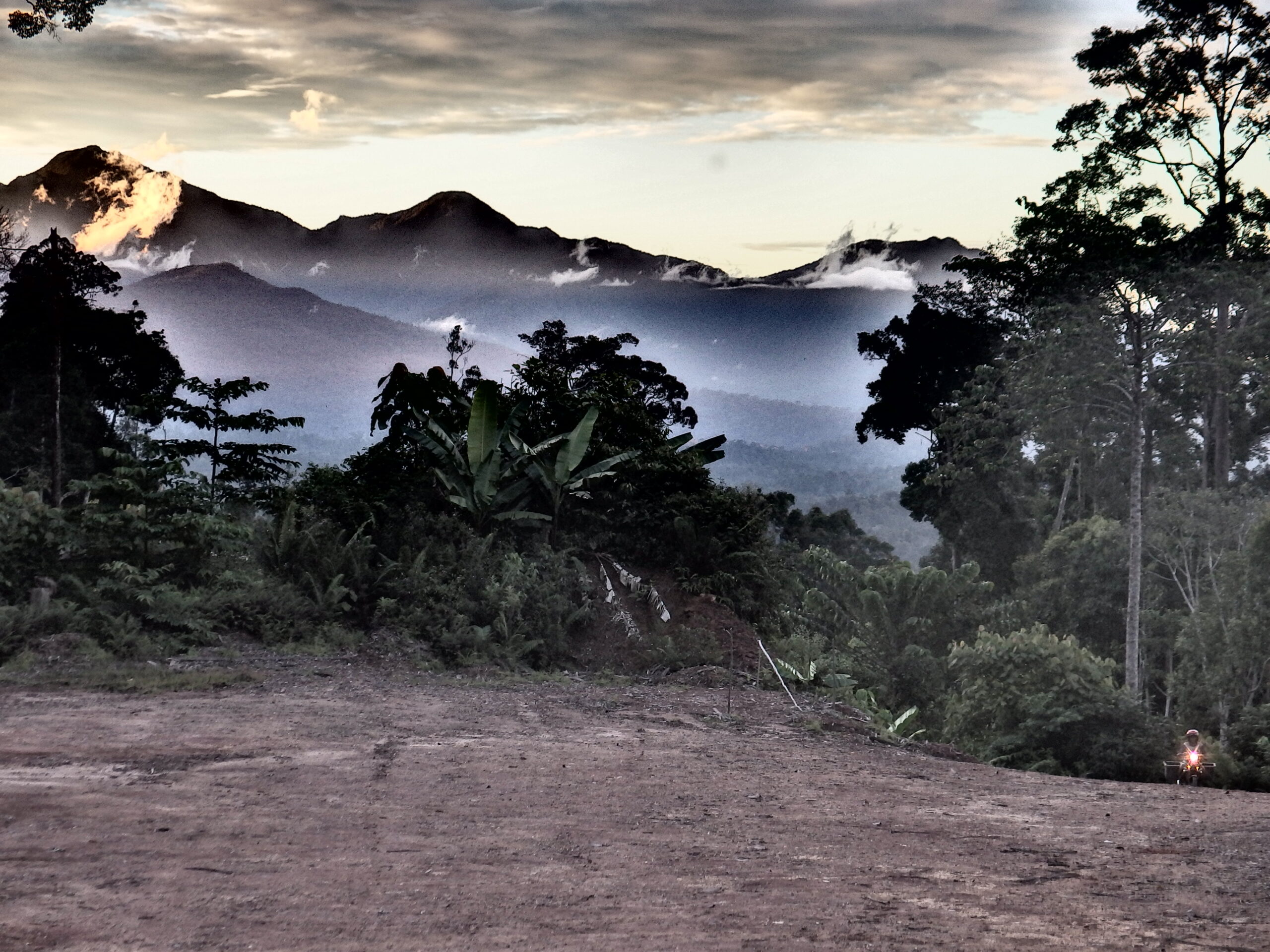  Berselimut Mistis, Hutan Bukit Raya Dikenal Sakral