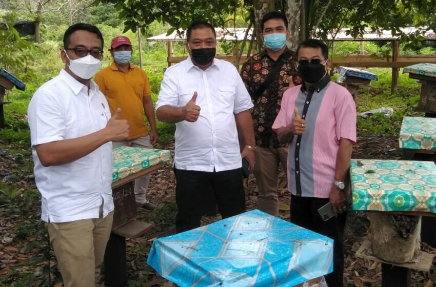  Punya Nilai Ekonomi, Komisi II DPRD Kalteng Dorong Budidaya Madu Kelulut