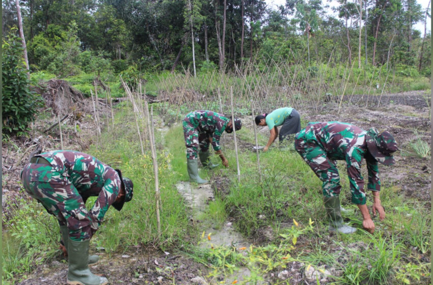  Personel TMMD Bantu Bersihkan Kebun Warga di Kampuri