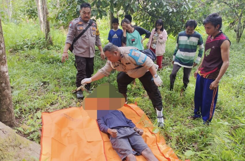  Seorang Pemuda Di Katingan Ditemukan Gantung Diri Dibawah Pohon Durian