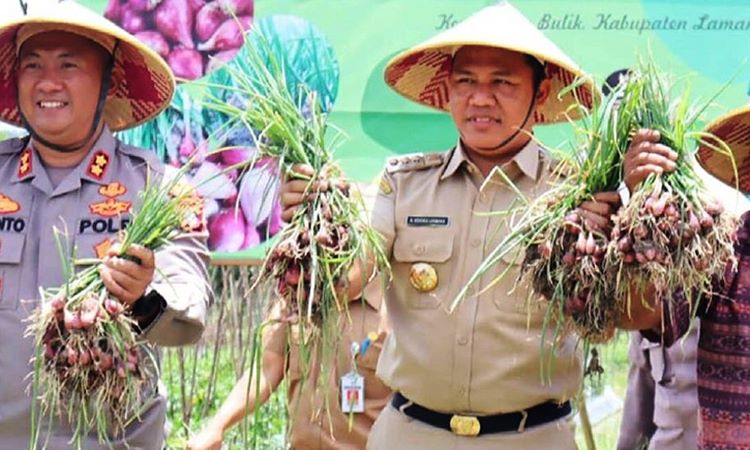  Ajak Anak Muda Manfaatkan Lahan Pertanian