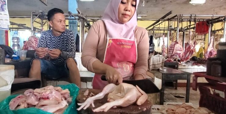  Harga Ayam Pedaging Merangkak Naik