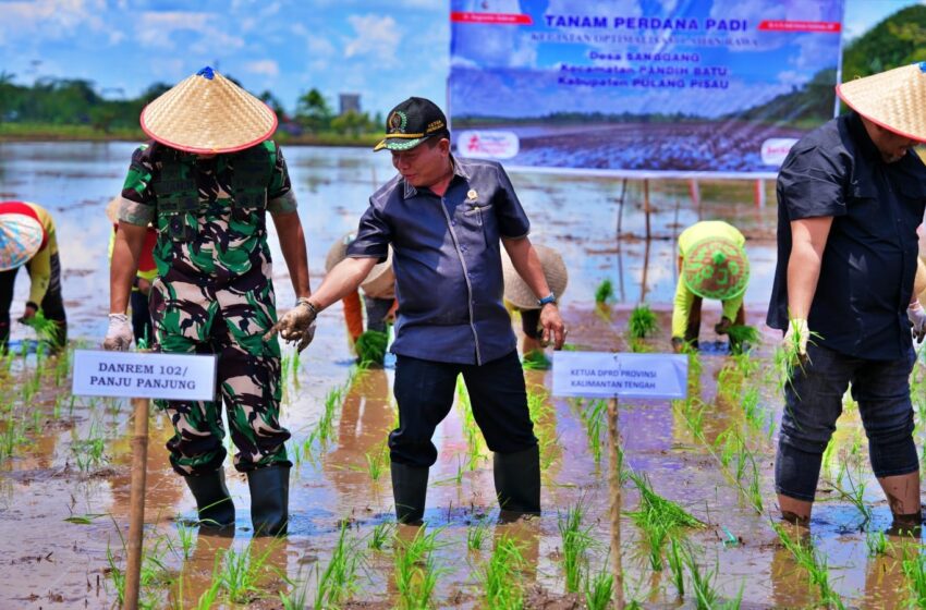  Pembangunan Rice Miling Unit Diharapkan dapat Mendukung Ketahanan Pangan di Kalteng