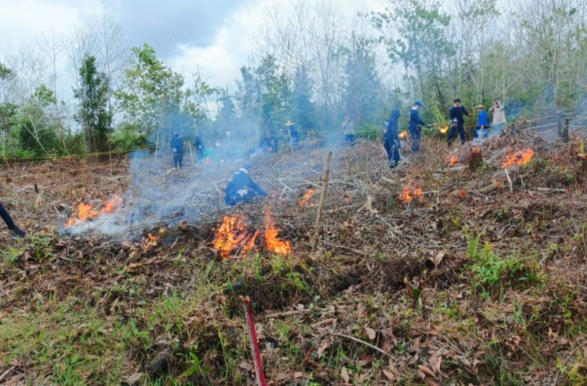  Teknologi Pemadaman Kebakaran Berbasis Sabun Hasil Riset CIMTROP UPR dan Shabondama Jepang Kembali Diperkenalkan