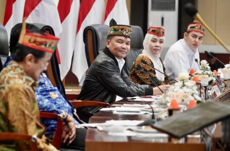 Gubernur Kalteng Soroti Pengelolaan SDA bersama DPD RI