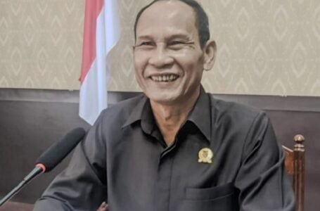 Ketua DPRD Kalteng Geram, Tambang Cuma Ambil Untung